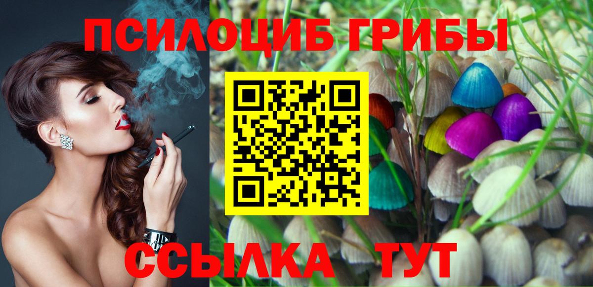Псилоцибиновые грибы прущие грибы  Вход с VPN  Сунжа 